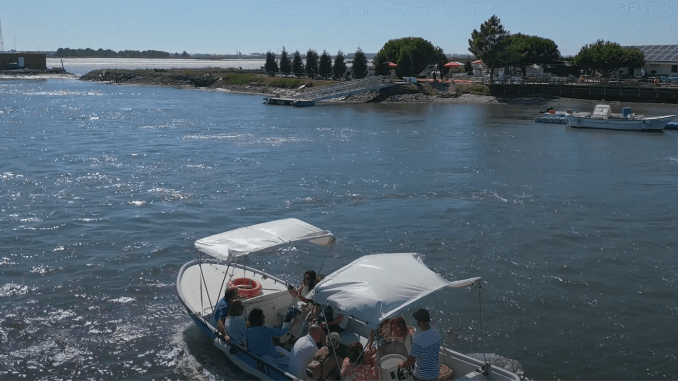 Barco tradicional a navegar num canal da Ria de Aveiro