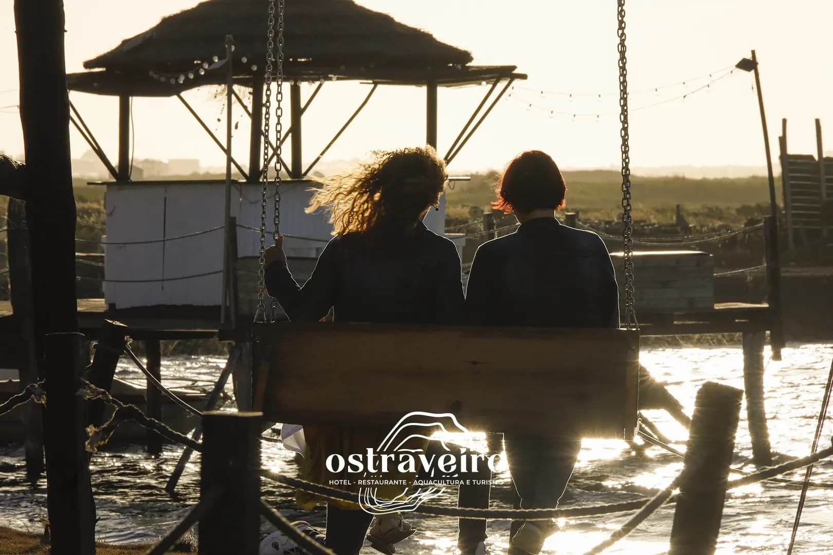 Aves vistas desde o barco — fauna selvagem da Ria